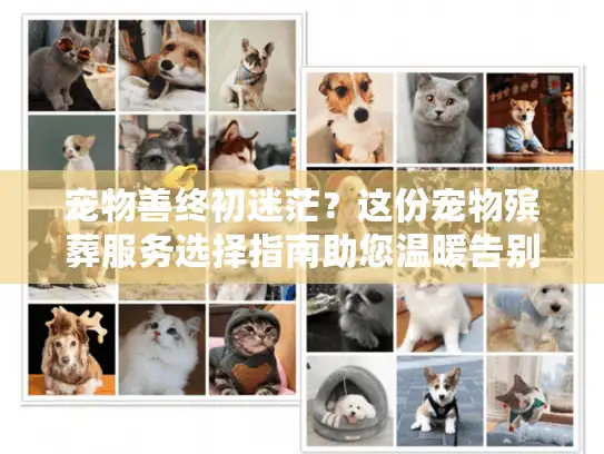 宠物善终初迷茫？这份宠物殡葬服务选择指南助您温暖告别