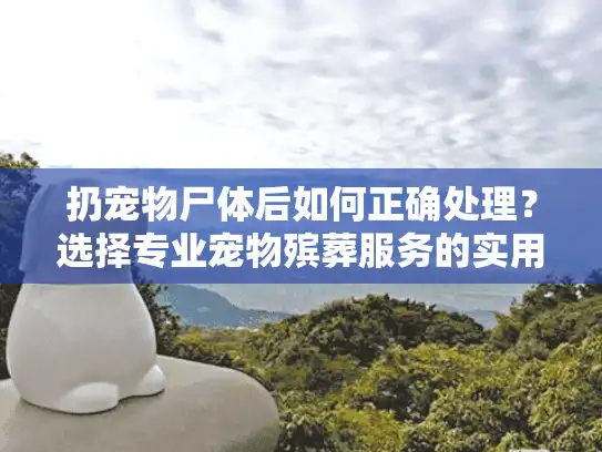 扔宠物尸体后如何正确处理？选择专业宠物殡葬服务的实用指南