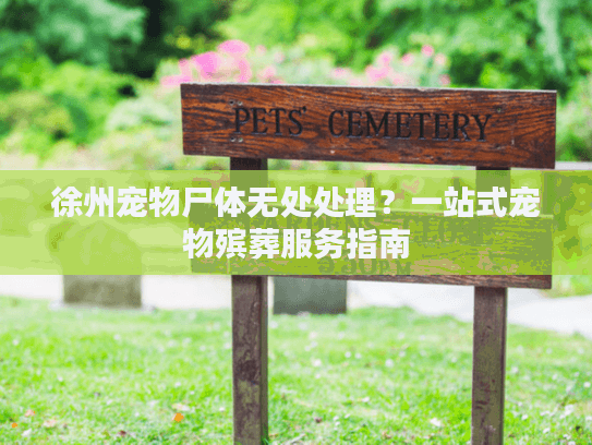 徐州宠物尸体无处处理？一站式宠物殡葬服务指南