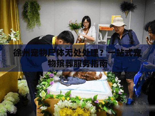 徐州宠物尸体无处处理？一站式宠物殡葬服务指南