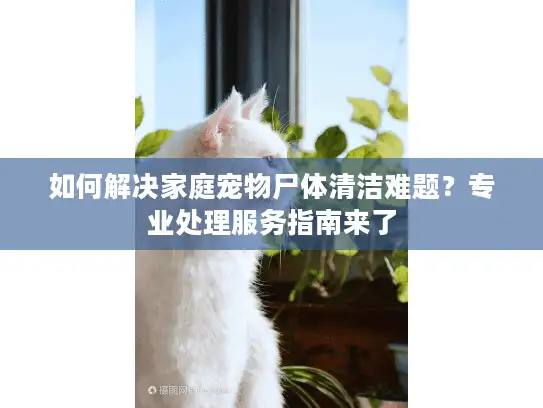 如何解决家庭宠物尸体清洁难题?专业处理服务指南来了 如何解决家庭宠物尸体清洁难题?专业处理服务指南来了