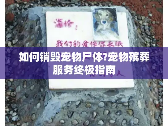 如何销毁宠物尸体?宠物殡葬服务终极指南