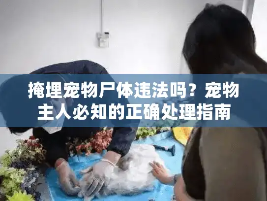 掩埋宠物尸体违法吗?宠物主人必知的正确处理指南 掩埋宠物尸体违法吗?宠物主人必知的正确处理指南