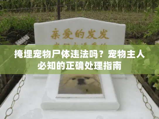 掩埋宠物尸体违法吗?宠物主人必知的正确处理指南 掩埋宠物尸体违法吗?宠物主人必知的正确处理指南