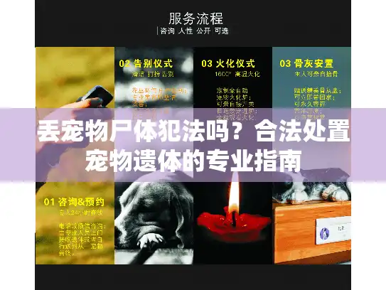 丢宠物尸体犯法吗？合法处置宠物遗体的专业指南