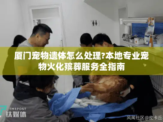 厦门宠物遗体怎么处理?本地专业宠物火化殡葬服务全指南 厦门宠物遗体怎么处理?本地专业宠物火化殡葬服务全指南
