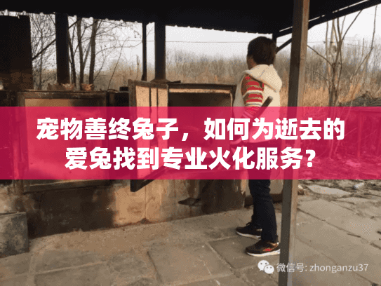 宠物善终兔子，如何为逝去的爱兔找到专业火化服务？