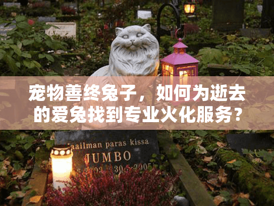 宠物善终兔子，如何为逝去的爱兔找到专业火化服务？