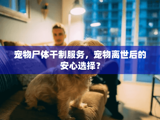 宠物尸体干制服务，宠物离世后的安心选择？