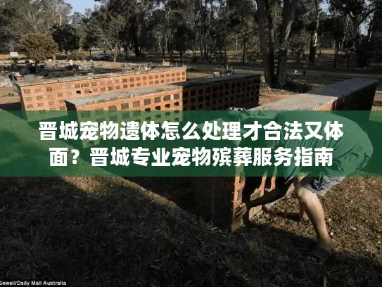 晋城宠物遗体怎么处理才合法又体面？晋城专业宠物殡葬服务指南