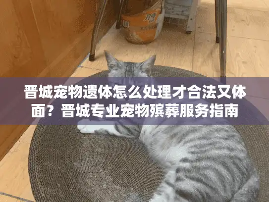 晋城宠物遗体怎么处理才合法又体面？晋城专业宠物殡葬服务指南