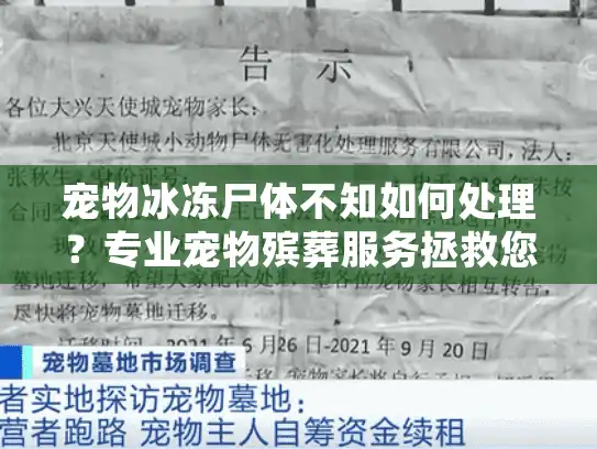 宠物冰冻尸体不知如何处理?专业宠物殡葬服务拯救您的悲痛时刻 宠物冰冻尸体不知如何处理?专业宠物殡葬服务拯救您的悲痛时刻