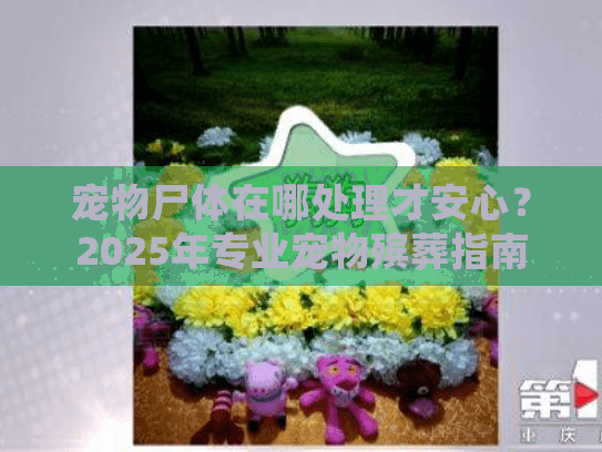 宠物尸体在哪处理才安心?2025年专业宠物殡葬指南 宠物尸体在哪处理才安心?2025年专业宠物殡葬指南