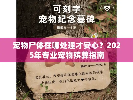 宠物尸体在哪处理才安心?2025年专业宠物殡葬指南 宠物尸体在哪处理才安心?2025年专业宠物殡葬指南