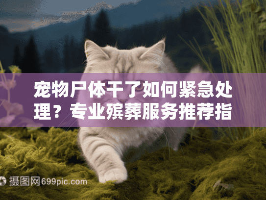 宠物尸体干了如何紧急处理？专业殡葬服务推荐指南