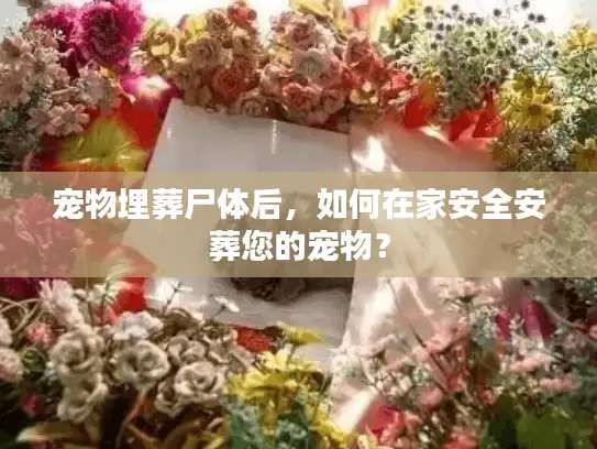 宠物埋葬尸体后，如何在家安全安葬您的宠物？
