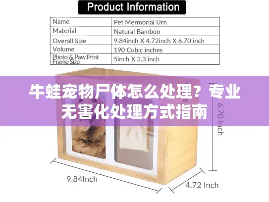 牛蛙宠物尸体怎么处理?专业无害化处理方式指南 牛蛙宠物尸体怎么处理?专业无害化处理方式指南