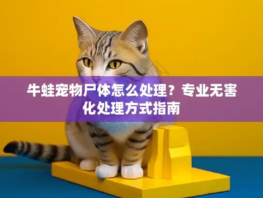 牛蛙宠物尸体怎么处理?专业无害化处理方式指南 牛蛙宠物尸体怎么处理?专业无害化处理方式指南
