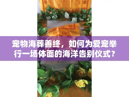 宠物海葬善终，如何为爱宠举行一场体面的海洋告别仪式？