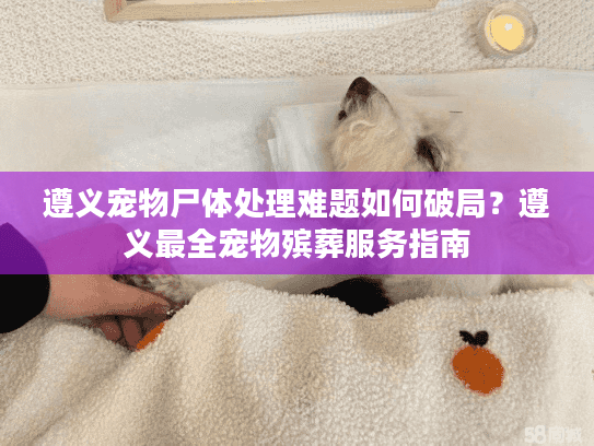 遵义宠物尸体处理难题如何破局？遵义最全宠物殡葬服务指南