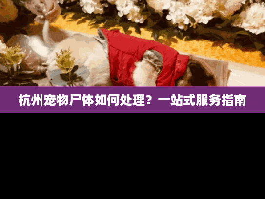 杭州宠物尸体如何处理?一站式服务指南 杭州宠物尸体如何处理?一站式服务指南