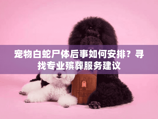宠物白蛇尸体后事如何安排？寻找专业殡葬服务建议