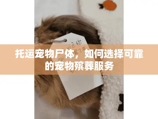 托运宠物尸体,如何选择可靠的宠物殡葬服务 托运宠物尸体,如何选择可靠的宠物殡葬服务