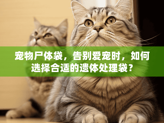 宠物尸体袋，告别爱宠时，如何选择合适的遗体处理袋？