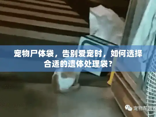 宠物尸体袋，告别爱宠时，如何选择合适的遗体处理袋？