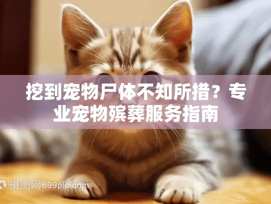 挖到宠物尸体不知所措?专业宠物殡葬服务指南 挖到宠物尸体不知所措?专业宠物殡葬服务指南