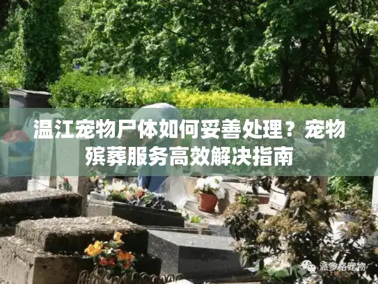 温江宠物尸体如何妥善处理？宠物殡葬服务高效解决指南
