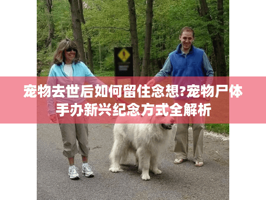 宠物去世后如何留住念想?宠物尸体手办新兴纪念方式全解析