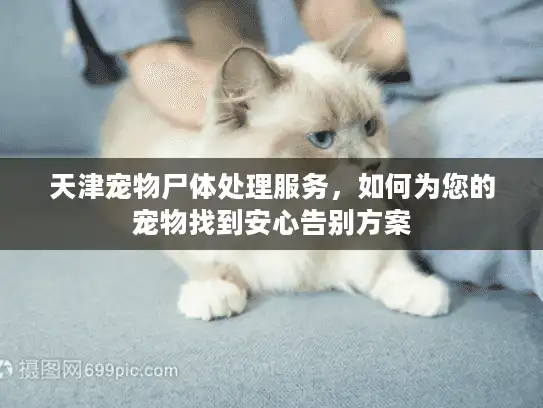 天津宠物尸体处理服务,如何为您的宠物找到安心告别方案 天津宠物尸体处理服务,如何为您的宠物找到安心告别方案