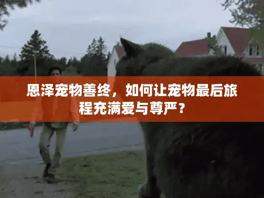 恩泽宠物善终，如何让宠物最后旅程充满爱与尊严？