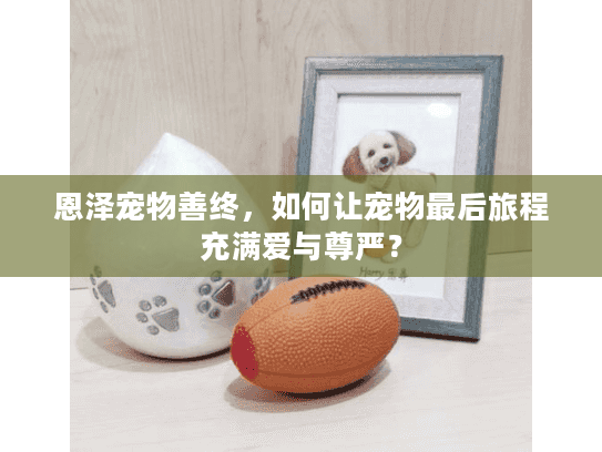 恩泽宠物善终，如何让宠物最后旅程充满爱与尊严？