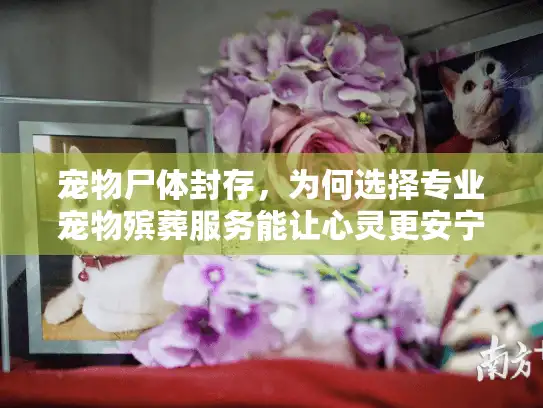 宠物尸体封存,为何选择专业宠物殡葬服务能让心灵更安宁? 宠物尸体封存,为何选择专业宠物殡葬服务能让心灵更安宁?