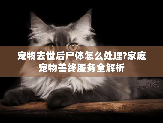 宠物去世后尸体怎么处理?家庭宠物善终服务全解析