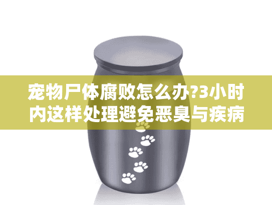 宠物尸体腐败怎么办?3小时内这样处理避免恶臭与疾病风险