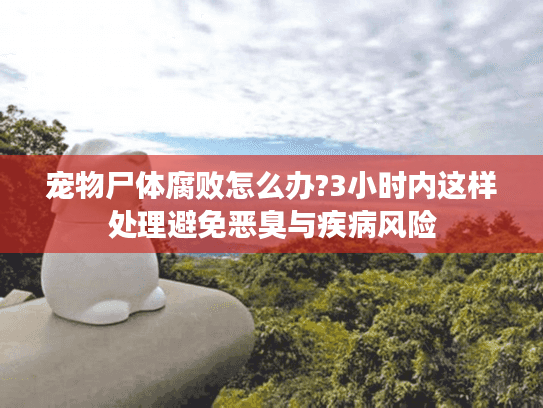 宠物尸体腐败怎么办?3小时内这样处理避免恶臭与疾病风险
