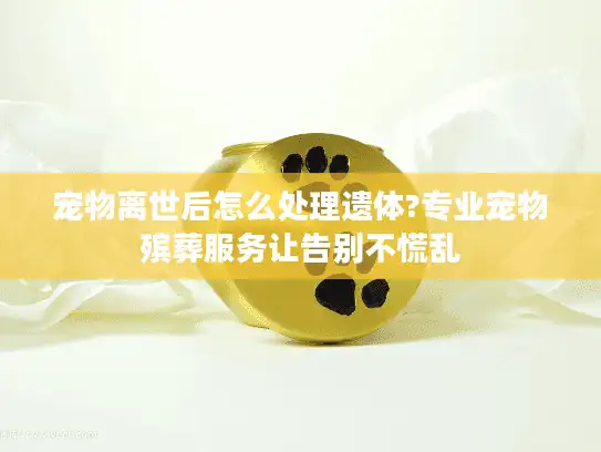 宠物离世后怎么处理遗体?专业宠物殡葬服务让告别不慌乱