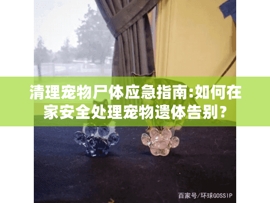 清理宠物尸体应急指南:如何在家安全处理宠物遗体告别？