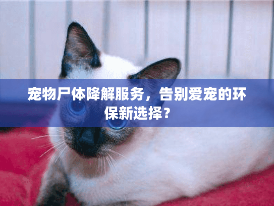 宠物尸体降解服务,告别爱宠的环保新选择? 宠物尸体降解服务,告别爱宠的环保新选择?