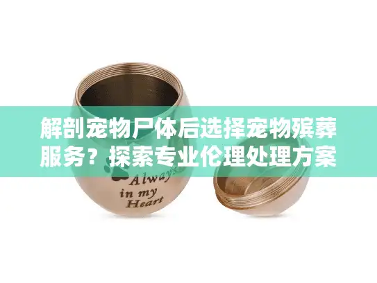 解剖宠物尸体后选择宠物殡葬服务？探索专业伦理处理方案