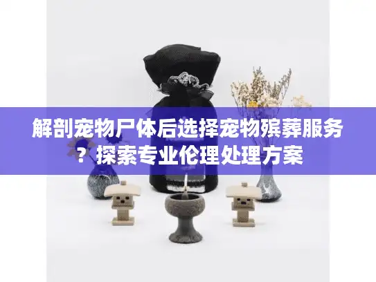 解剖宠物尸体后选择宠物殡葬服务？探索专业伦理处理方案