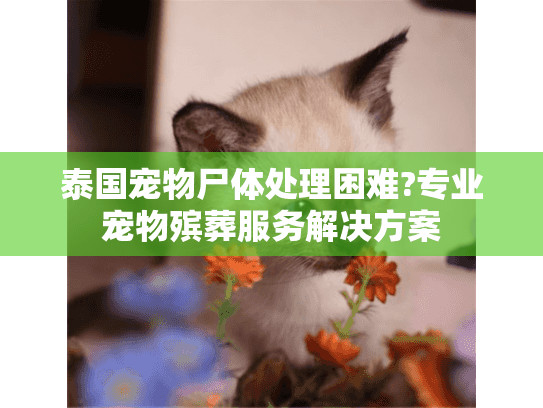 泰国宠物尸体处理困难?专业宠物殡葬服务解决方案