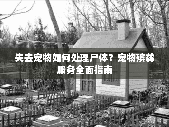 失去宠物如何处理尸体？宠物殡葬服务全面指南