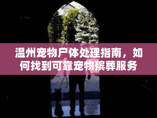 温州宠物尸体处理指南，如何找到可靠宠物殡葬服务
