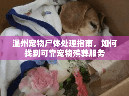 温州宠物尸体处理指南，如何找到可靠宠物殡葬服务