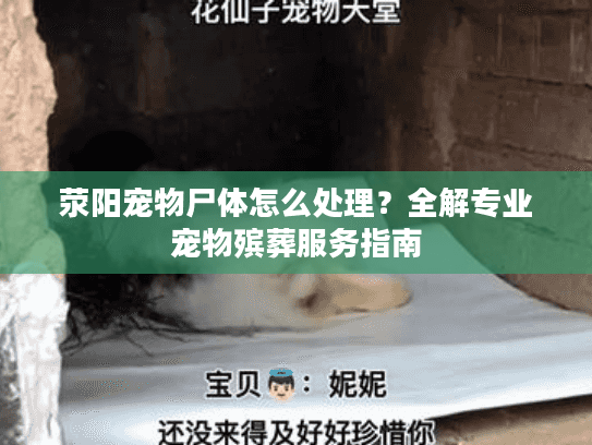 荥阳宠物尸体怎么处理？全解专业宠物殡葬服务指南