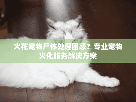 火花宠物尸体处理困惑？专业宠物火化服务解决方案